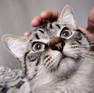 Meet your Posher, Andy